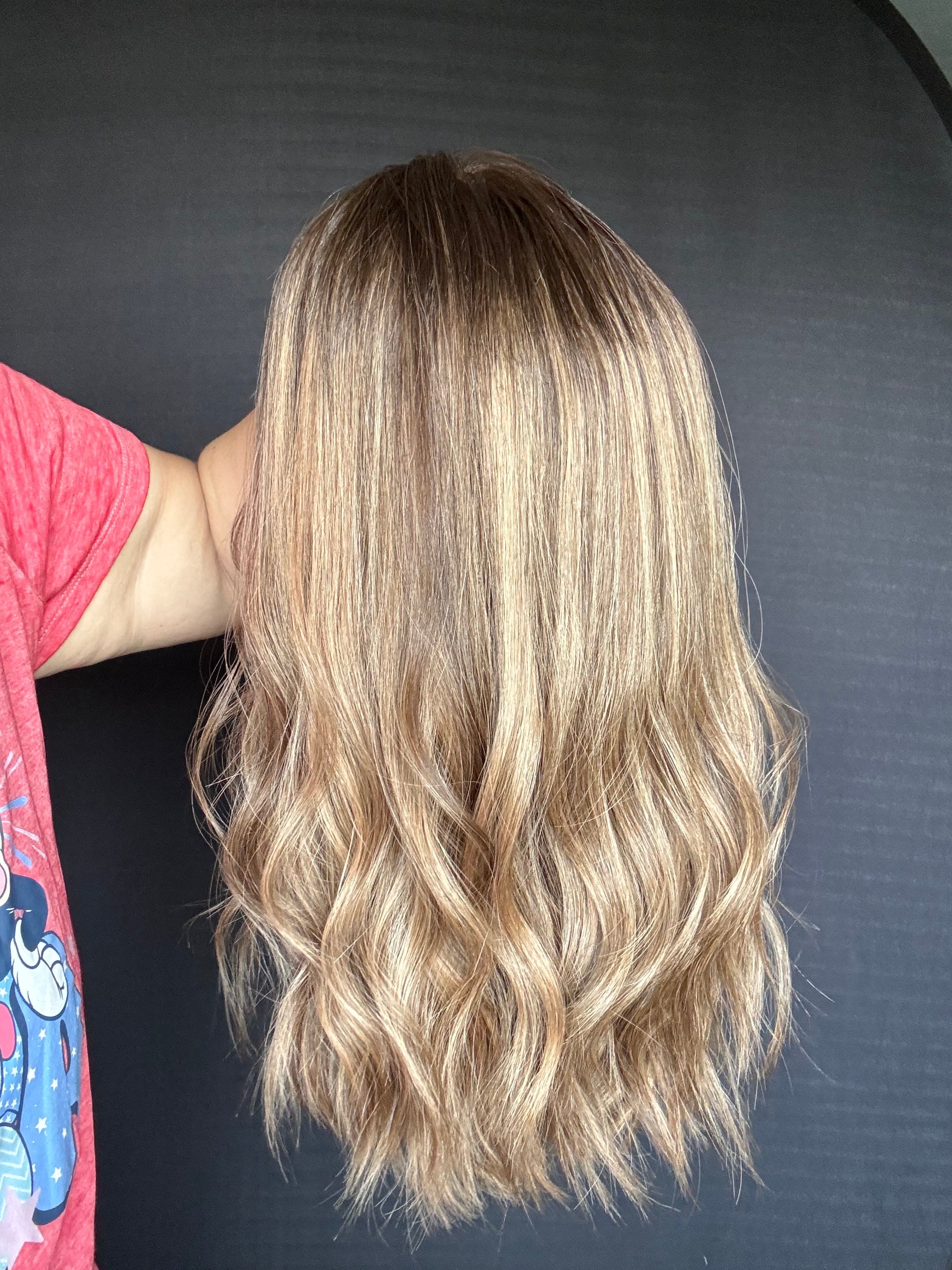 Hailey Small Lace Top Wig -The Fine Collection